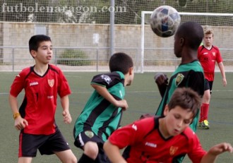 Alevines El Gancho Alfajarin