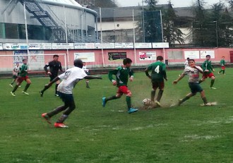 COPA FEDERACION 1ª INFANTIL (GRUPO 8)    